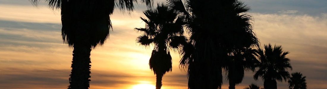 Palm trees against a sunset sky in Huntington Beach, Orange County - The home of reliable and discreet lie detector services from Go Polygraph